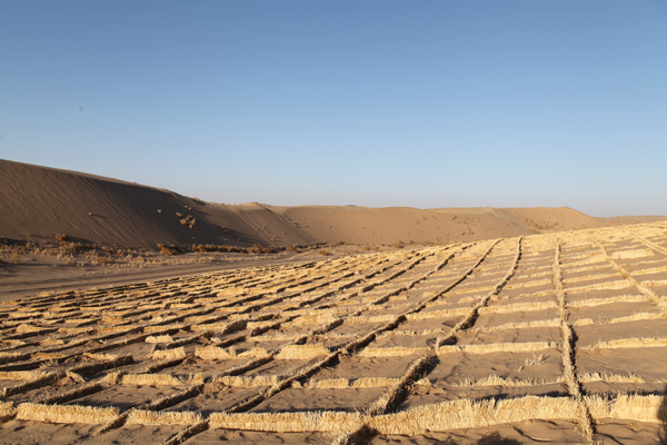 他們，從沙漠中走來(lái)……