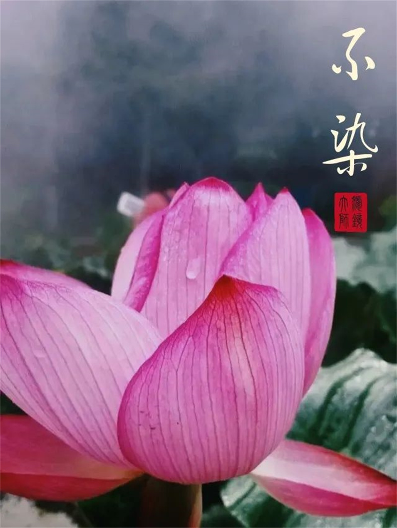 202212161671171718717603.jpg 640 (5).jpg