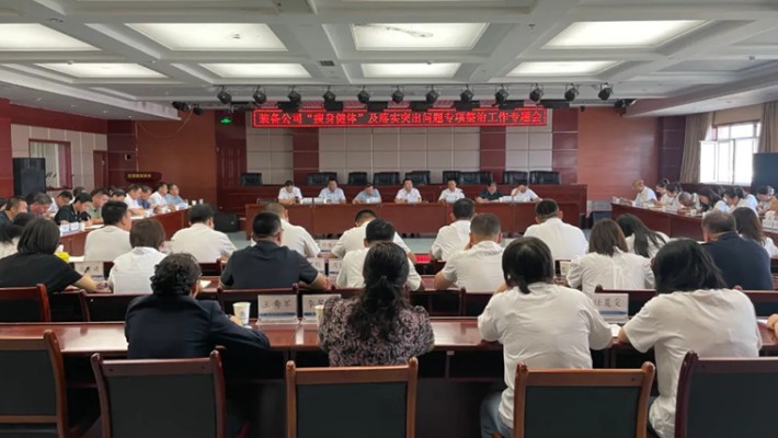 裝備公司召開瘦身健體暨落實突出問題專項整治工作專題會